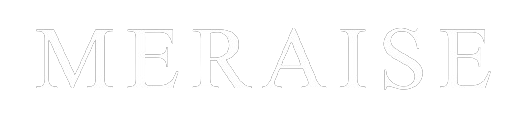 MERAISE Logo